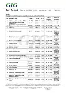 Reach-svhc_page-0004